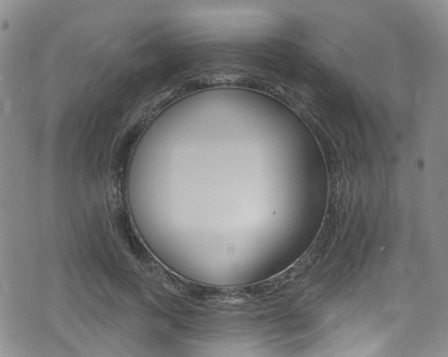 X0000075370743200609080831