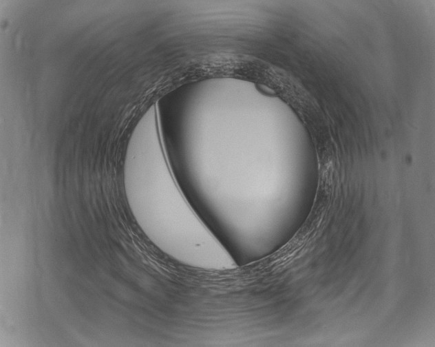 X0000075370772200609080830