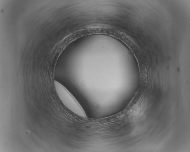 X0000075370821200609080829