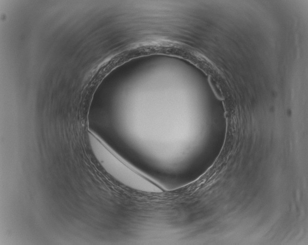 X0000075370822200609080829