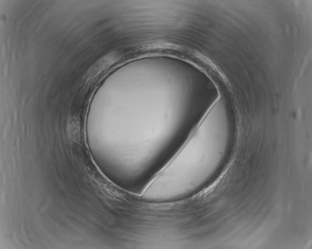 X0000075370825200609080829