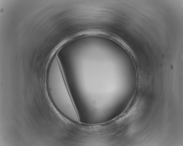 X0000075370853200609080829