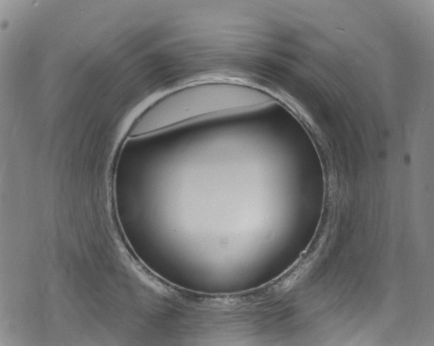 X0000075370854200609080829