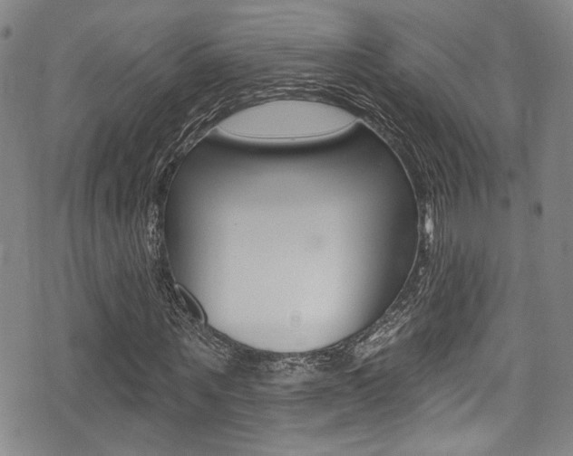 X0000075370867200609080829