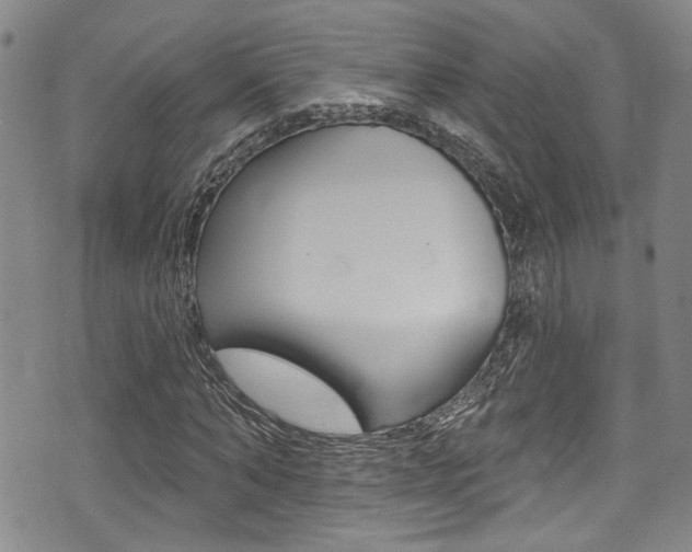X0000075370870200609080829