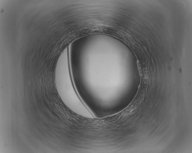 X0000075370916200609080827