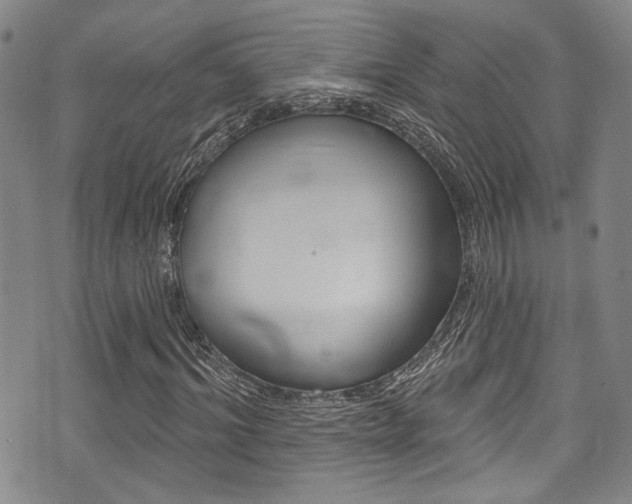 X0000075370964200609080827