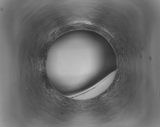 X0000075370965200609080827