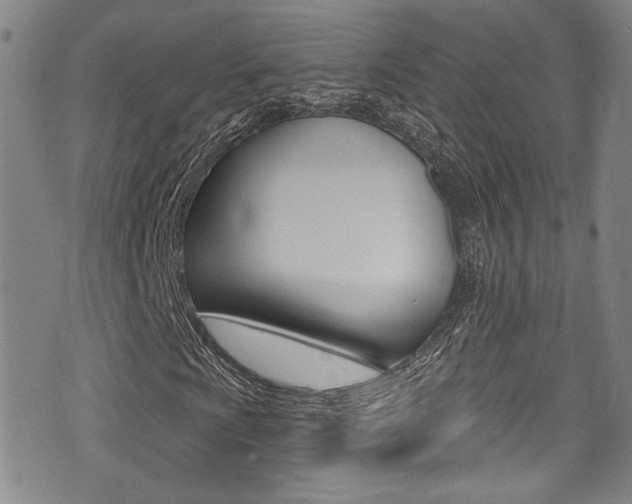 X0000075371009200609080826
