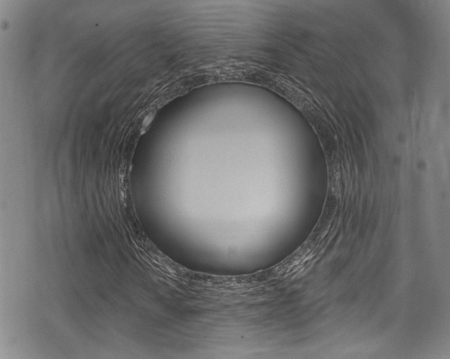 X0000075371010200609080826