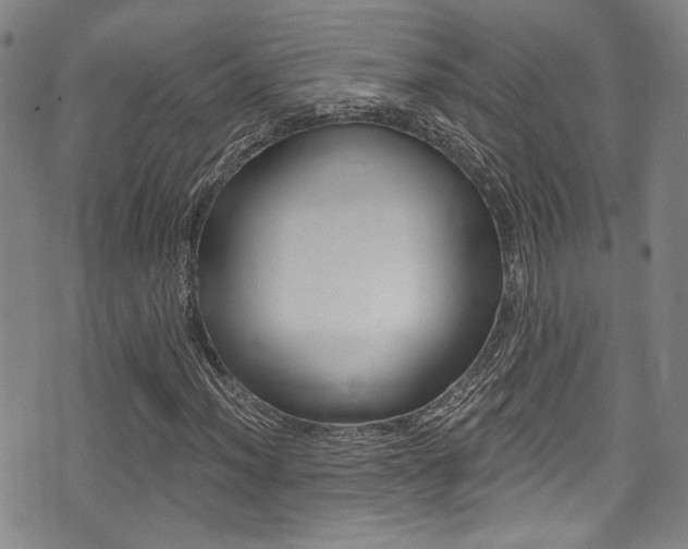 X0000075371012200609080826