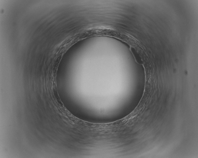 X0000075371014200609080826