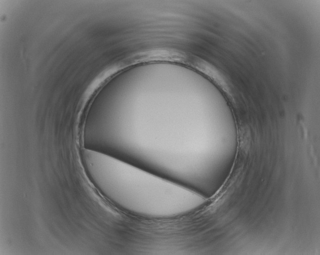 X0000075371043200609080826