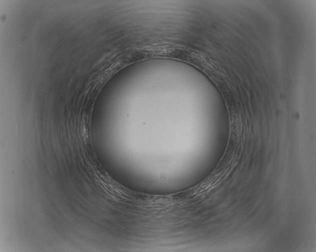 X0000075371058200609080826