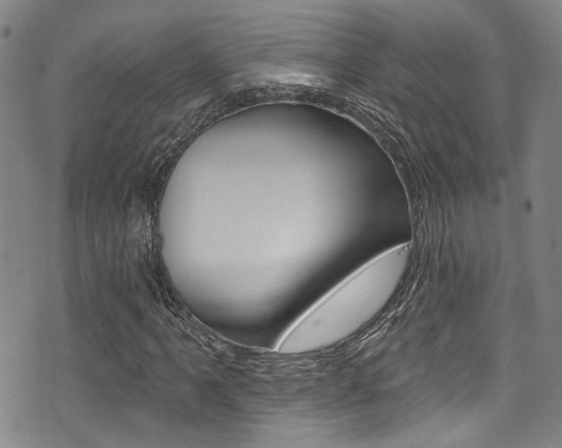 X0000075371061200609080826