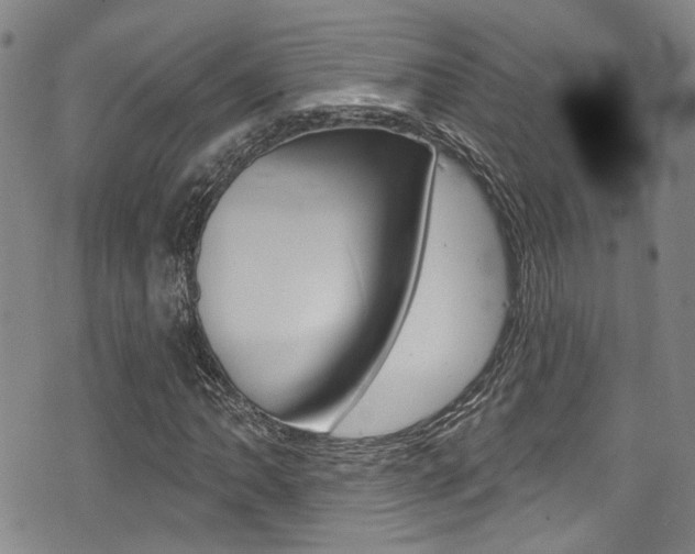 X0000075371062200609080826