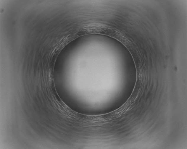 X0000075371108200609080824