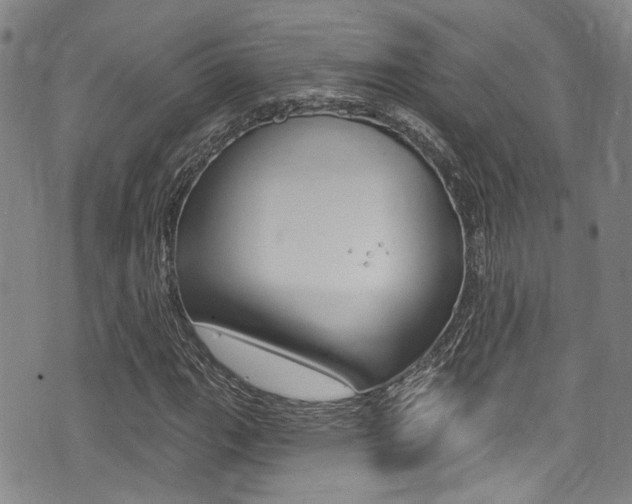 X0000075371111200609080824