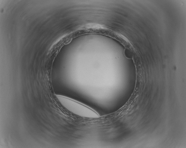 X0000075371112200609080824