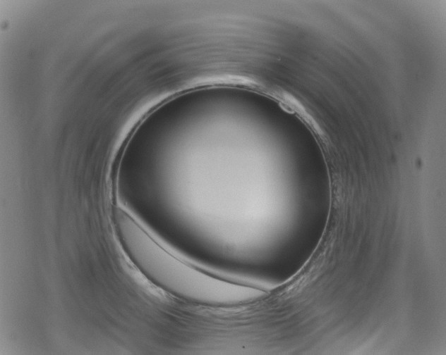X0000075371140200609080825