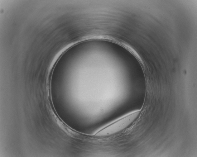 X0000075371148200609080825