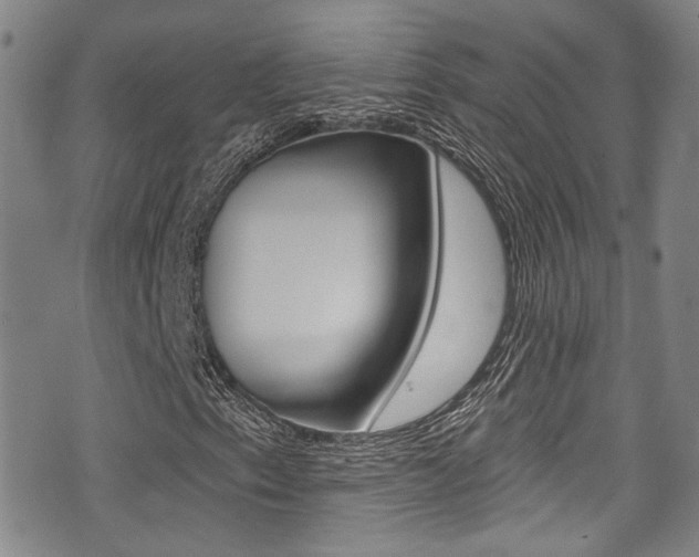 X0000075371153200609080824