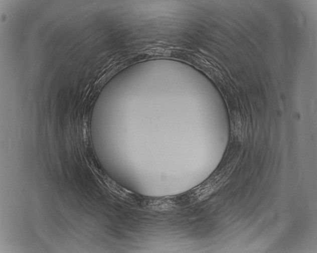 X0000075371154200609080824