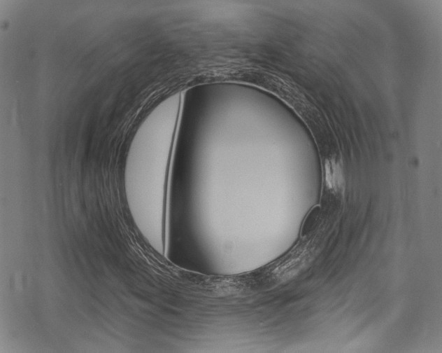 X0000075371155200609080824