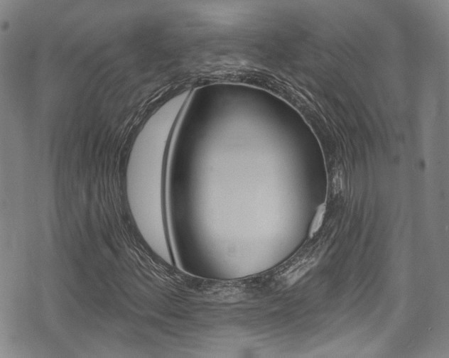 X0000075371156200609080824