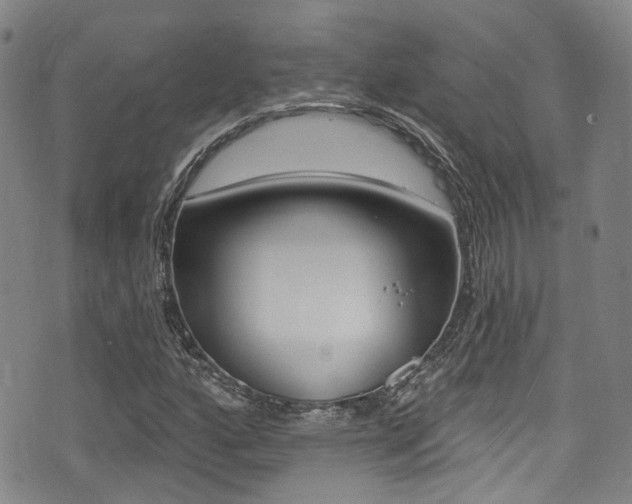 X0000075371160200609080824