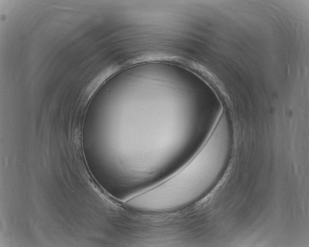 X0000075371185200609080824