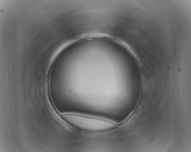 X0000075371187200609080824