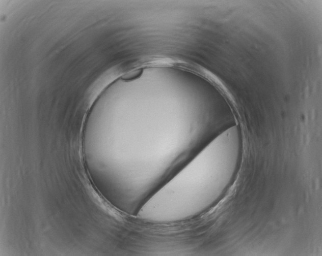 X0000075371194200609080823