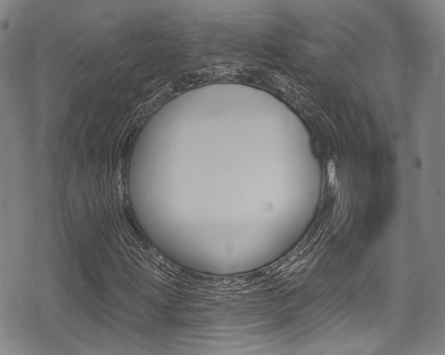 X0000075371203200609080823