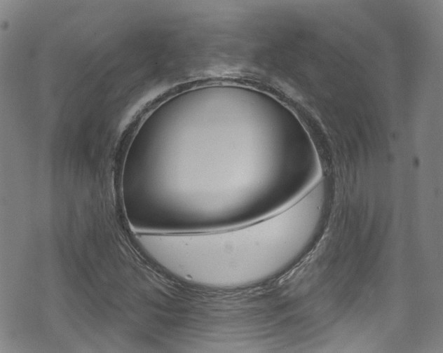 X0000075371214200609080823