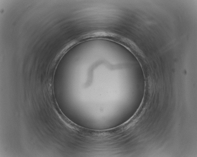 X0000075371225200609080823