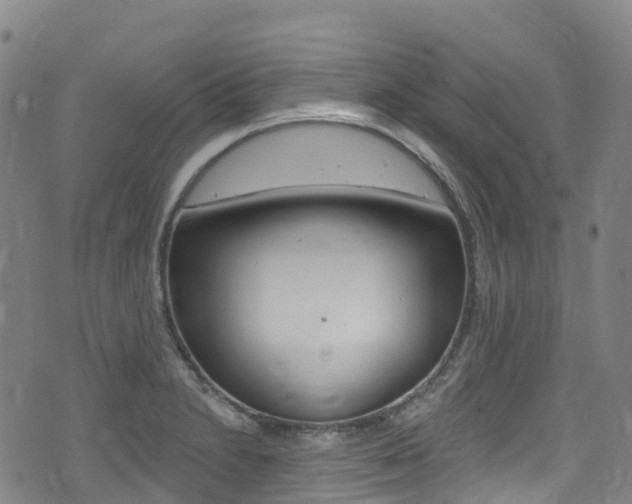 X0000075371230200609080823