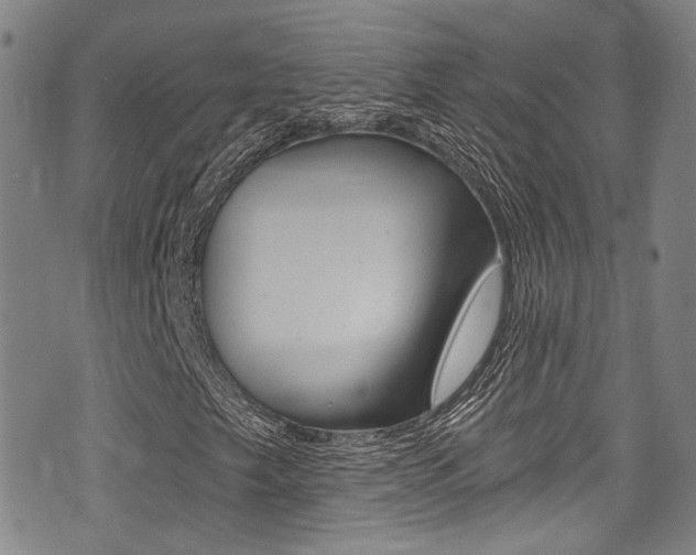 X0000075371249200609080823