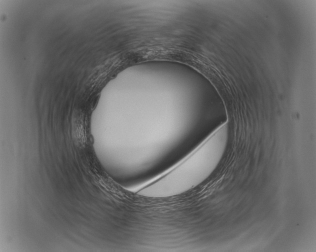 X0000075371250200609080823