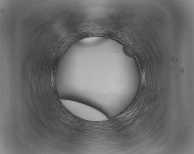 X0000075371251200609080823