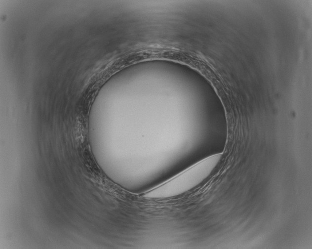 X0000075371253200609080823