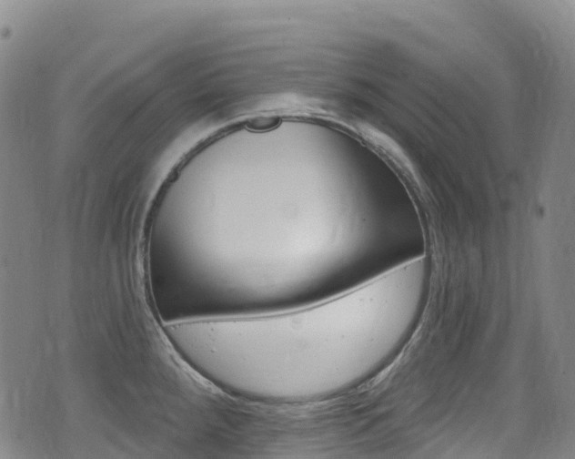 X0000075371288200609080822