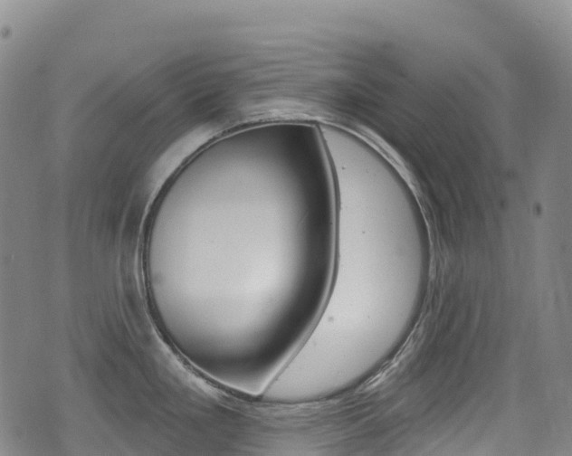 X0000075371293200609080822