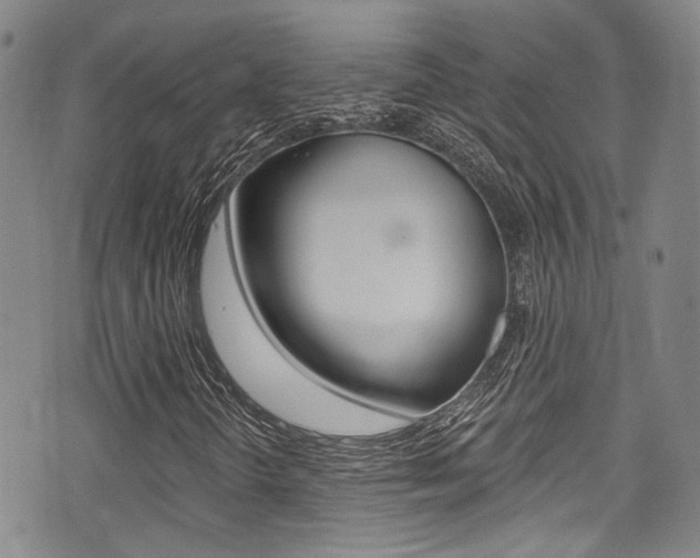 X0000075371298200609080821