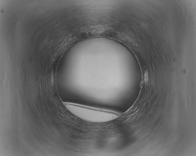 X0000075371299200609080821