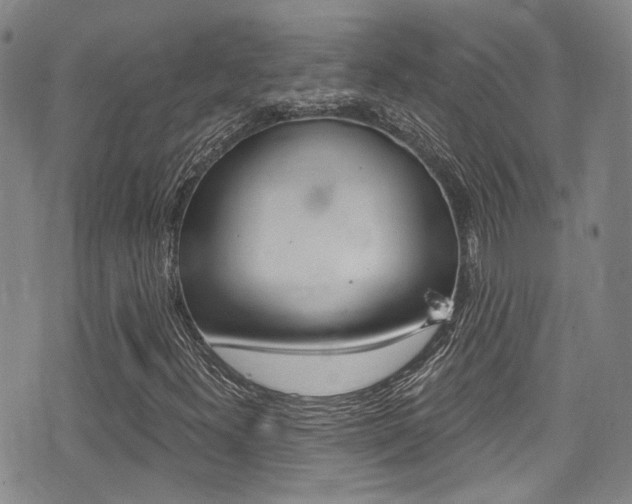 X0000075371300200609080821