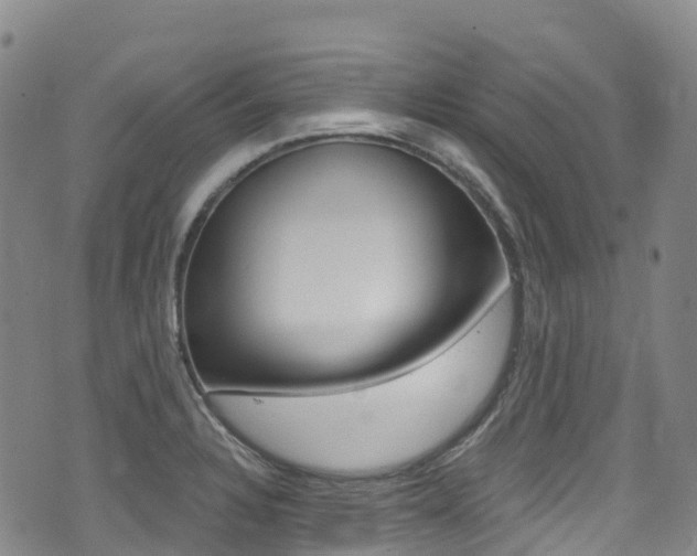 X0000075371328200609080822