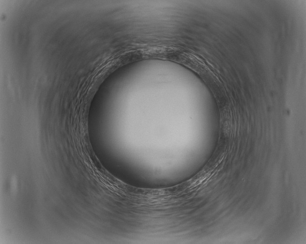 X0000075371345200609080821