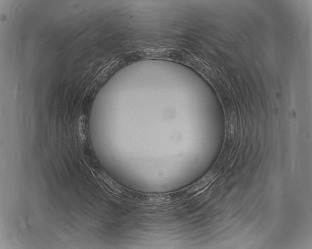 X0000075371346200609080821