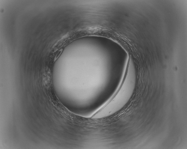 X0000075371349200609080821